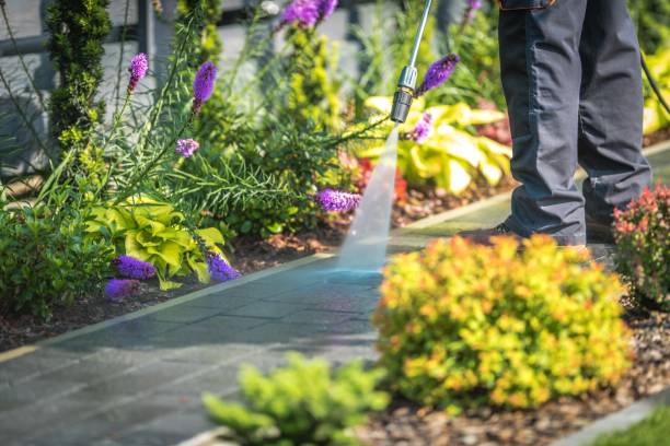 Best Boat and Dock Cleaning  in East Helena, MT